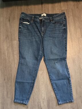 Lane Bryant Jeans